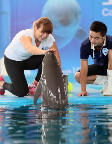 王岚嵚的亮 王岚嵚的亮