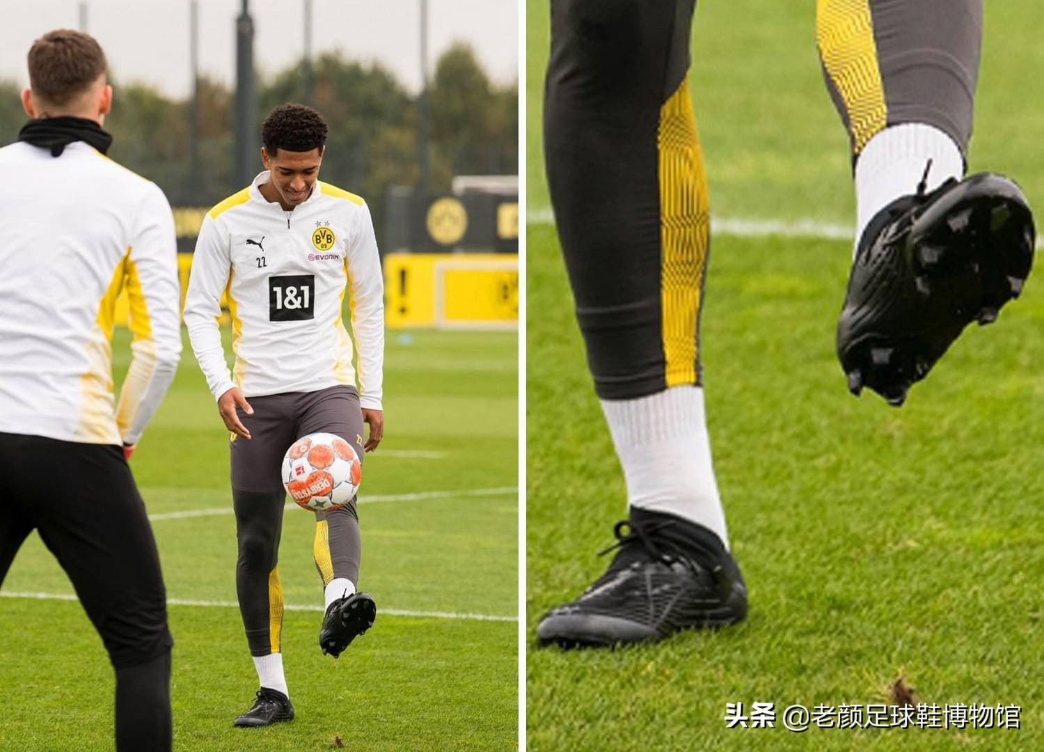 两粒精彩的 两粒精彩的